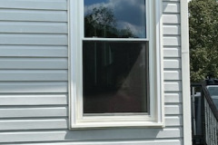 JOHNNA-PHELPS-window-2