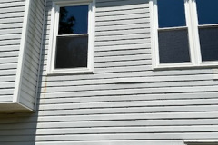 JOHNNA-PHELPS-window-5