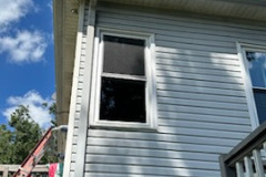 JOHNNA-PHELPS-window-6