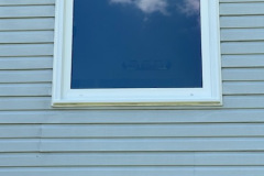 JOHNNA-PHELPS-window-7