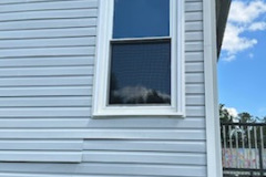 JOHNNA-PHELPS-window